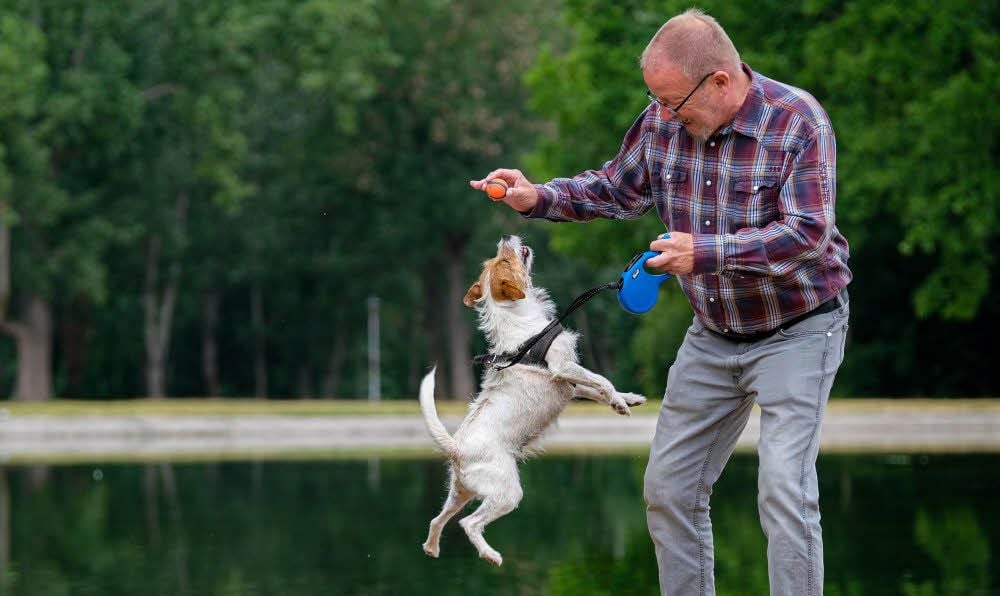 Konrad Potthoff ist täglich mit Hundedame Lilli unterwegs. Der Parson Russell Terrier hält sein Herrchen auf Trab.
