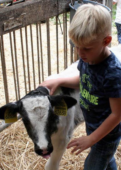 Besonders neugierig waren die Mädchen und Jungen auf die Kälbchen, die in einem separaten Stall leben.