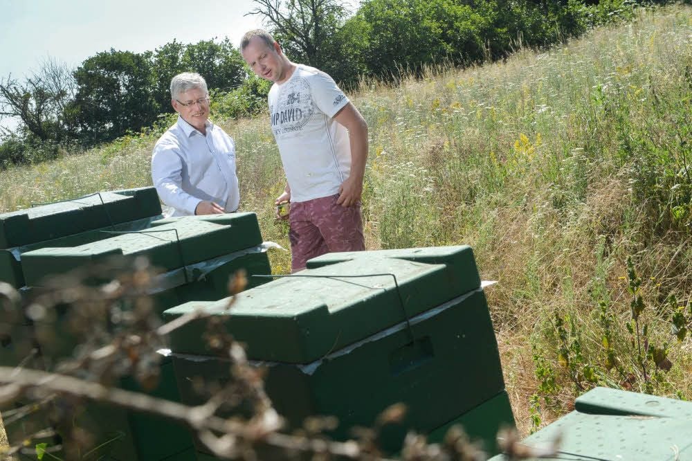 Matthias Gerber im Gespräch mit Imker Christian Gabriel, der an der alten Gärtnerei vier Bienenvölker stationiert hat.