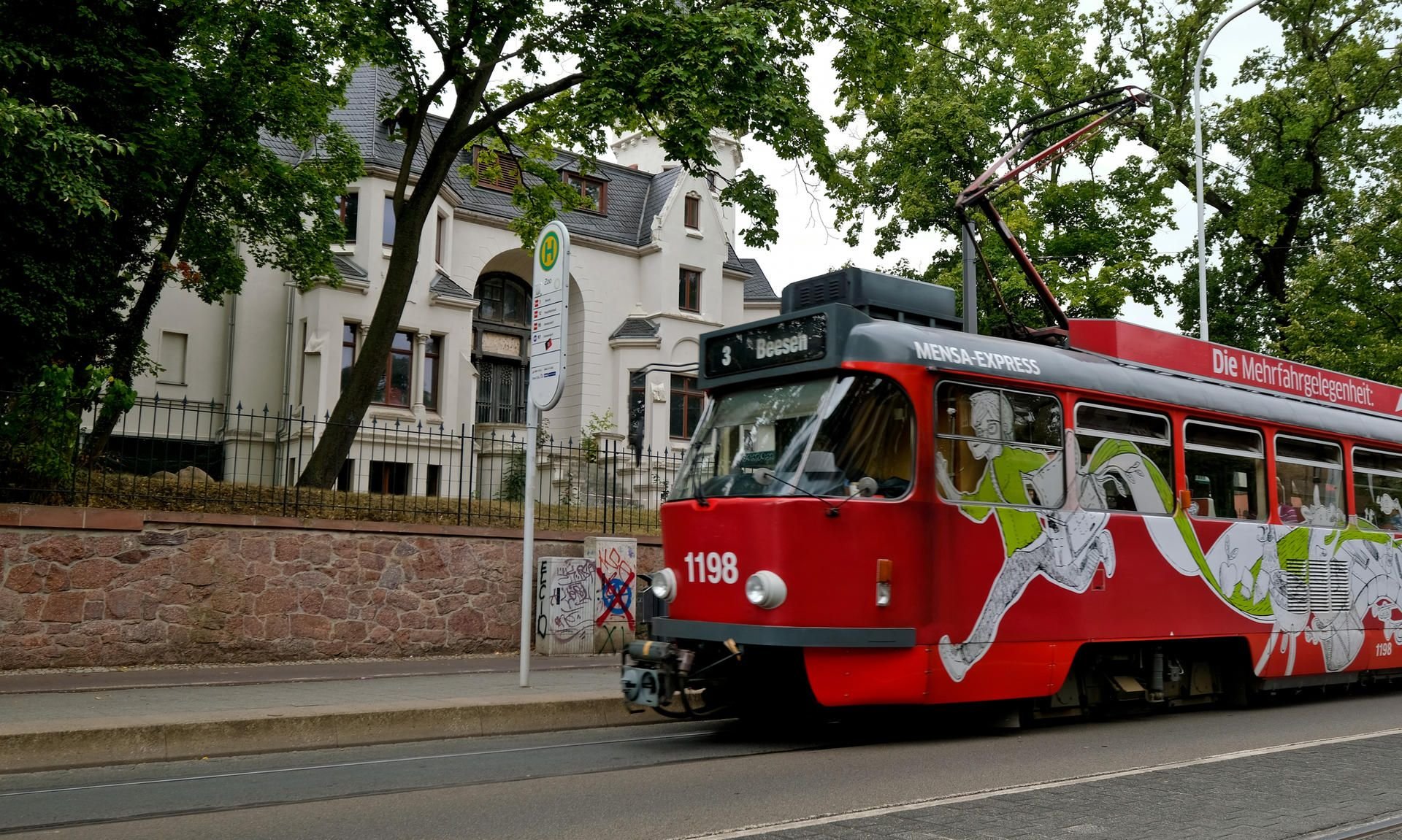 Straßenbahn an der Haltestelle Zoo