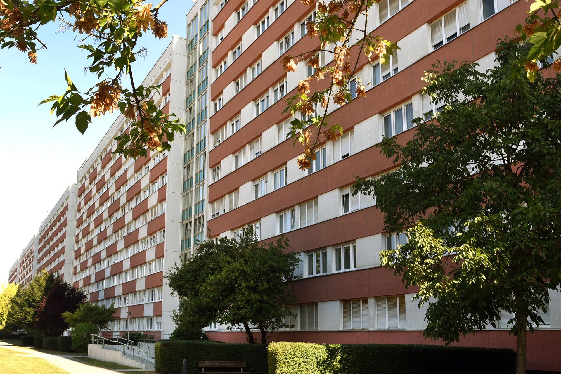 In einem der längsten Wohnblocks in Deutschland, der "Langen Lene", wird in diesen Tagen das 50-jährige Bestehen gefeiert.