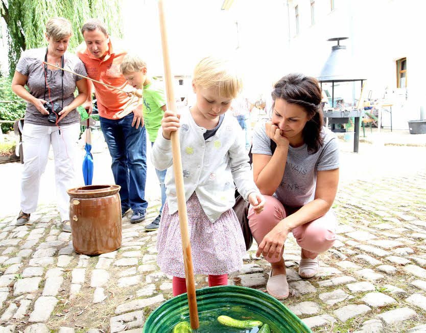 Martha Fischer (4) versucht, eine der Gurken aus dem Bottich aufzuspießen, was gar nicht so einfach ist. Ihre Mama Annika schaut ihr dabei zu.