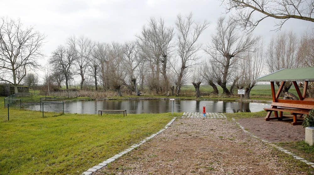 Früher Badeteich, heute wieder hergerichtet. Im Dorfteich von Ellerbach schwimmen seit vergangenem Jahr wieder Fische.