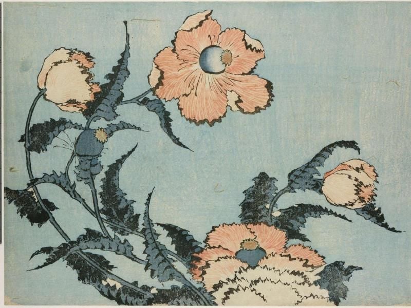 Das Bild „Mohnblume aus großen Blumen” (aus dem Jahre 1831-1932) des Künstlers Katsushika Hokusai. Foto: British Museum