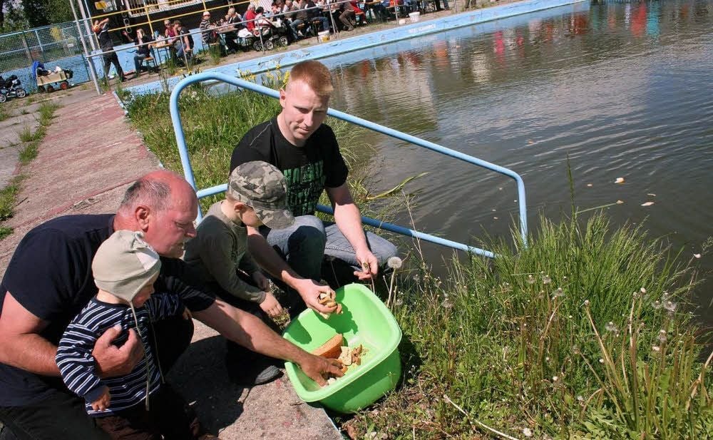 Karpfen füttern im Borntal. Die Becken im einstigen Lauchaer Freibad werden derzeit vom Lauchaer Anglerverein genutzt.