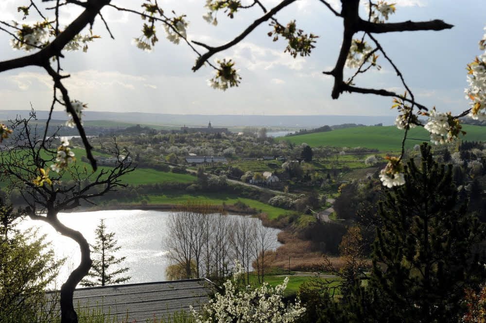 Blick vom Kreisberg - eine ausgezeichnete „Schöne Weinsicht“, wo auch die Borns Reben haben - auf Rollsdorf, Bindersee und Seeburg mit dem Süßen See.