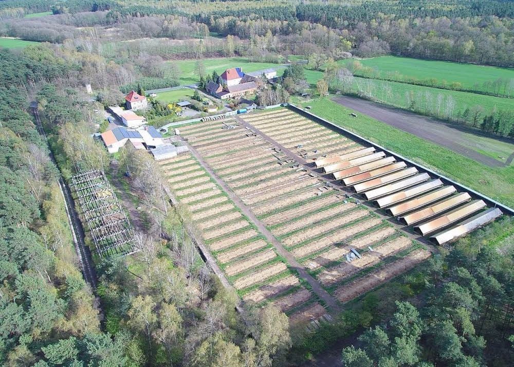 Die Nerzfarm Söllichau ist komplett geräumt.