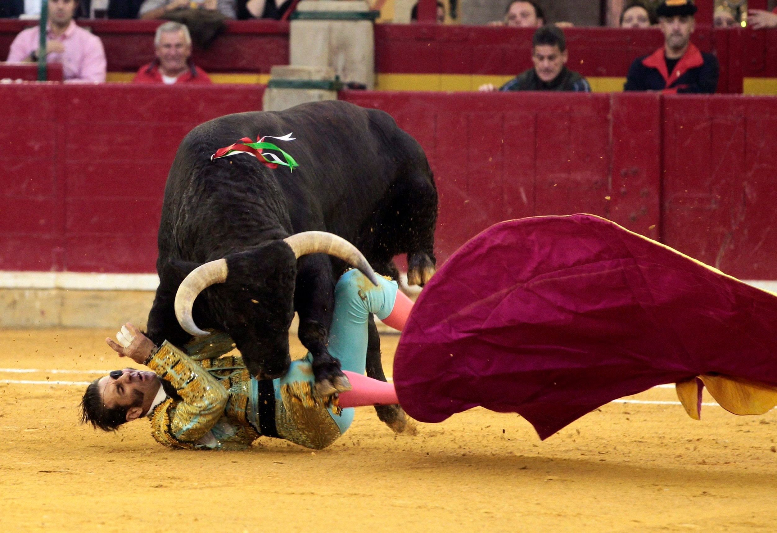 Der seit 2011 am Auge verwundete spanische Stierkämpfer Juan José Padilla wird in Saragosa von einem Bullen attackiert und erneut an seiner Augenklappe getroffen.