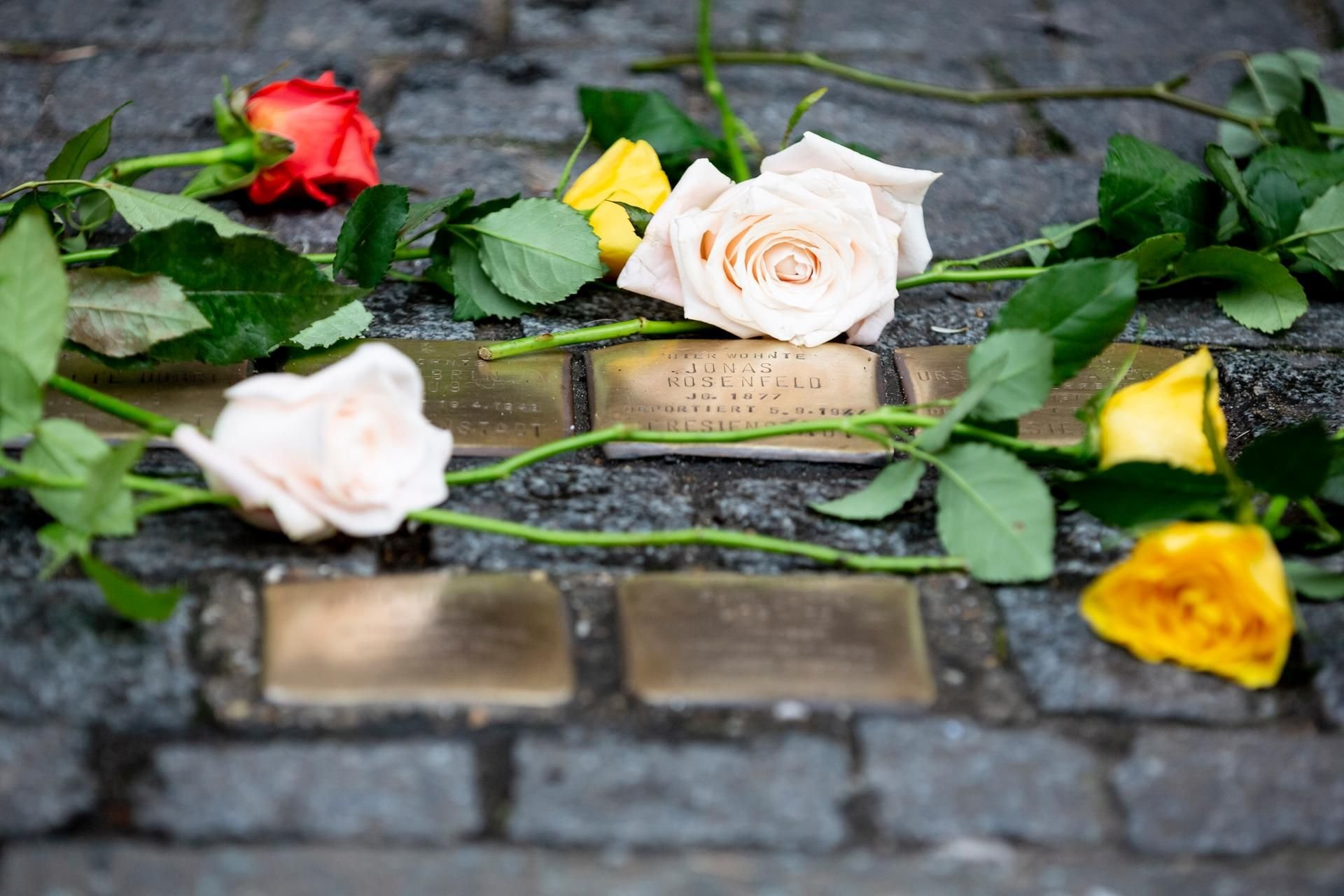 Blumen auf Stolpersteinen zum 75. Jahrestag der Befreiung von Auschwitz