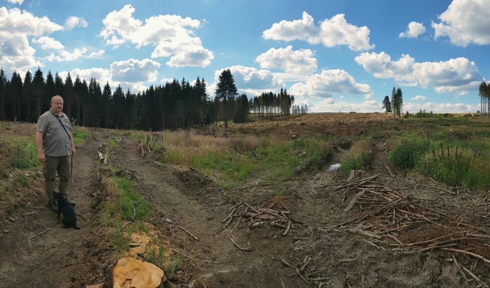 Dort, wo die Lichtung ist, war mal Wald. Und die Bäume im Hintergrund seien auch schon tot, sagt Waldbesitzer Hagen Kelle.