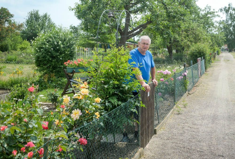 Das Land als bisheriger Eigentümer hat die Sparte „Grüne Aue“ an einen Privatmann verkauft. Gartenvorstand Rudi Bittner ist entsetzt.