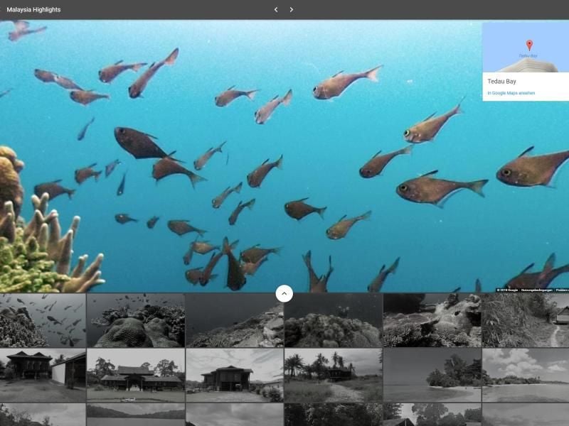 Mit den Fischen schwimmen in Malaysia: Mit den gesammelten StreetView-Panoramen lassen sich viele Orte der Welt am Bildschirm erkunden. Foto: Google
