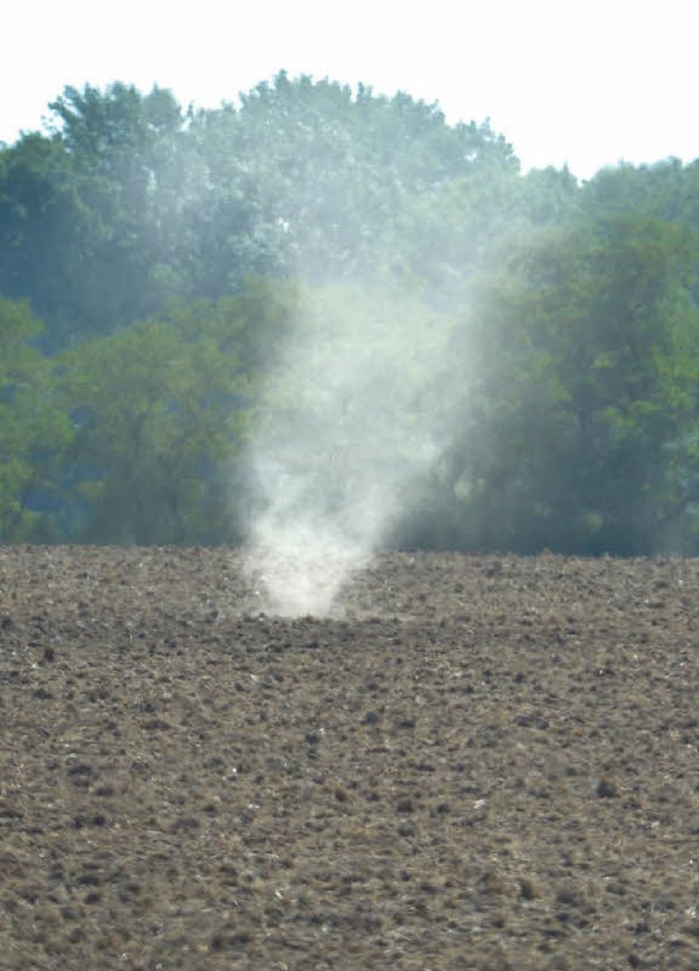 Ein kleiner Tornado mitten auf einem Feld.