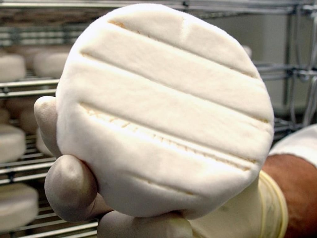 Auch in Sachsen-Anhalt wurde ein Camembert zurückgerufen. (Symbolfoto: Foto: Jochen Eckel