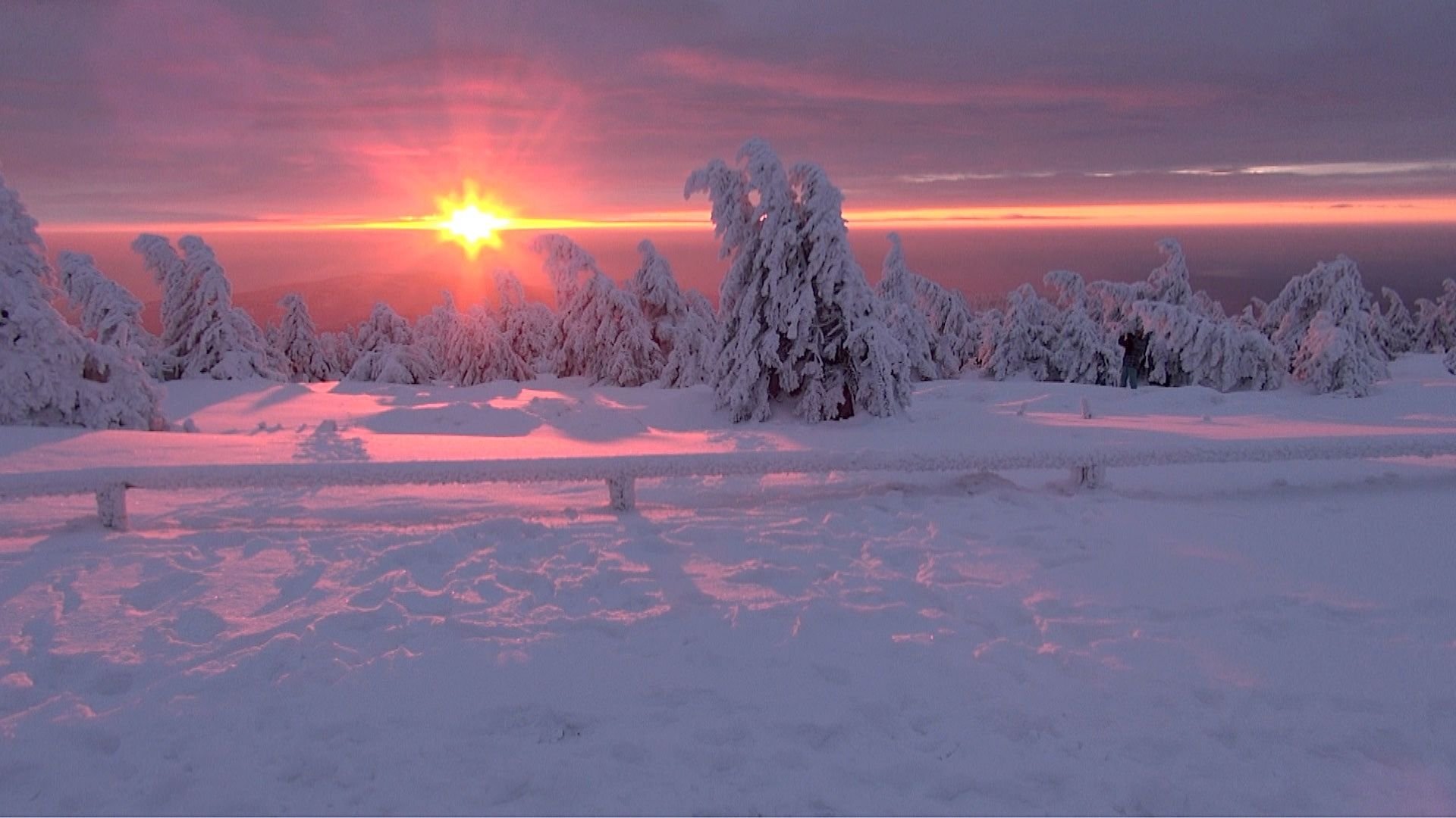 Einen traumhaften Sonnenaufgang hat es am Mittwoch auf dem Brocken gegeben.