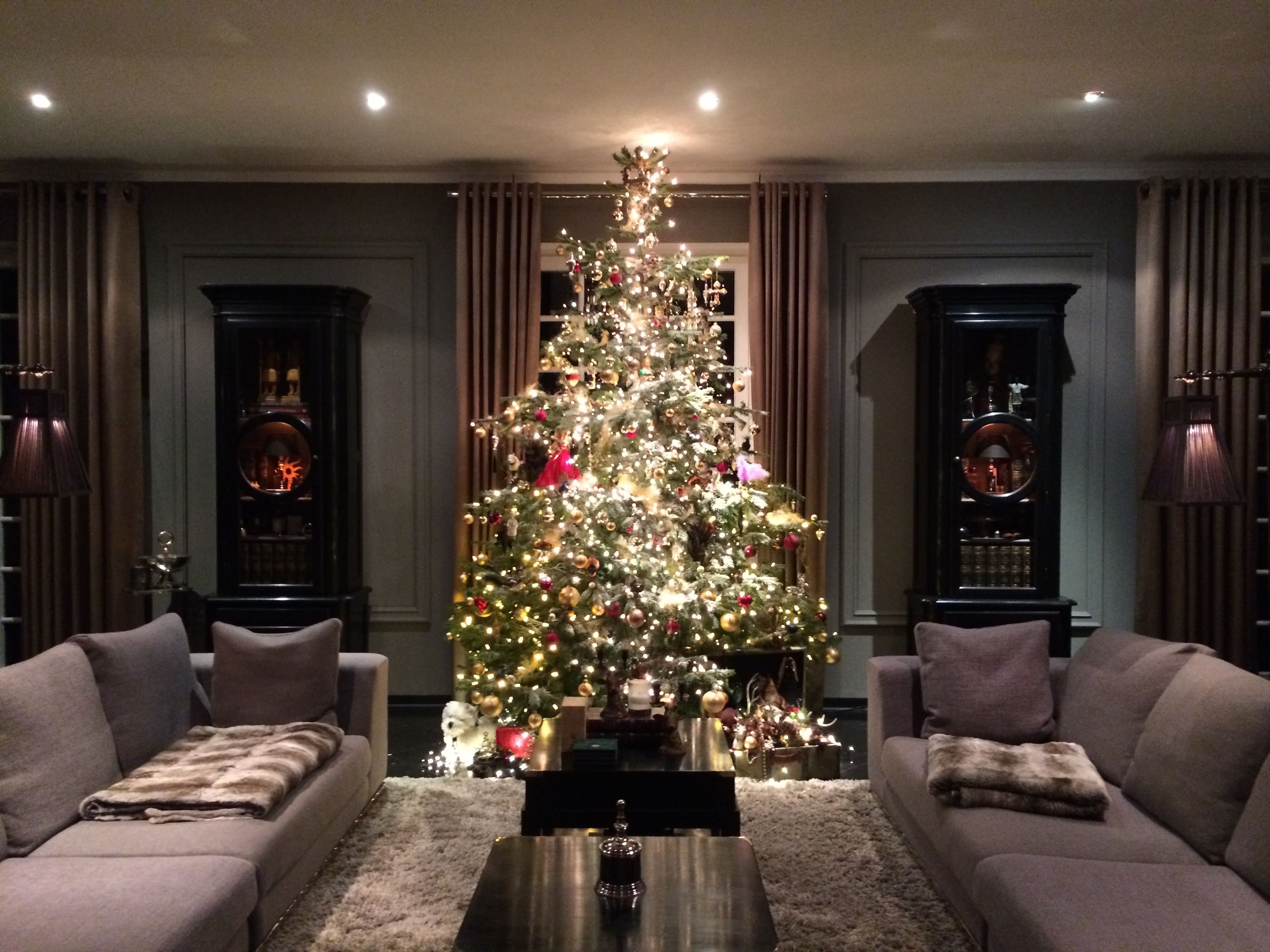 Ein Weihnachtsbaum im Wohnzimmer: Das ist bei vielen Deutschen Tradition.