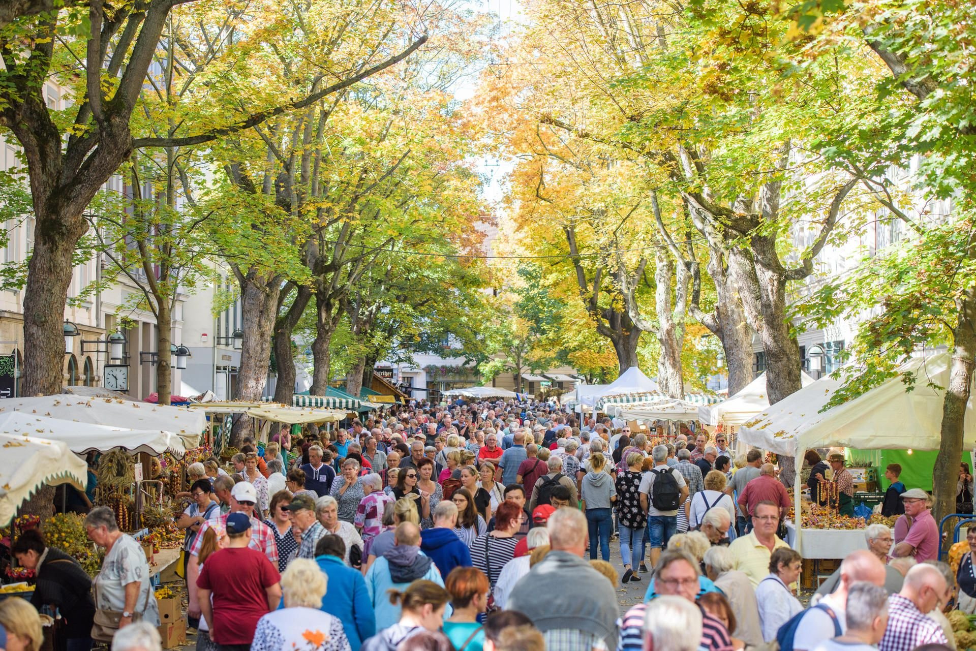 Besucher des Weimarer Zwiebelmarktes flanieren auf der Schillerstraße.