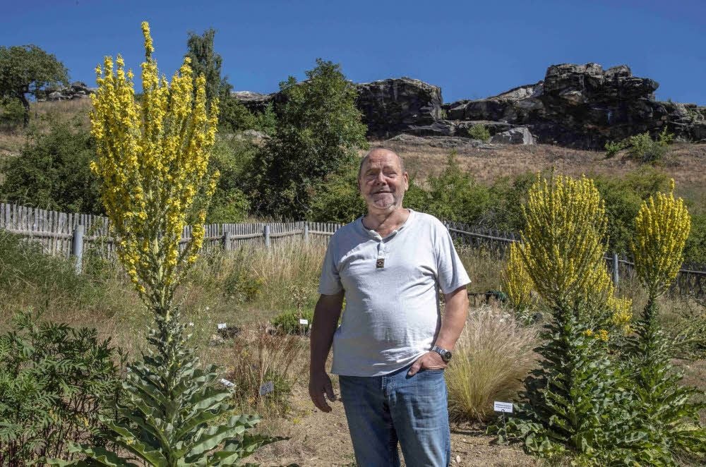Wegewart Peter Langner kümmert sich nicht nur um Reparaturarbeiten, sondern auch um die Flora im Teufelsmauergarten.