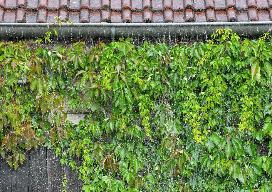 Für Regenwasser, das von den Dächern in die Kanalisation fließt, soll die Verbandsgemeinde Vorharz Gebühren erheben. Jahrelang tat sie das nicht.