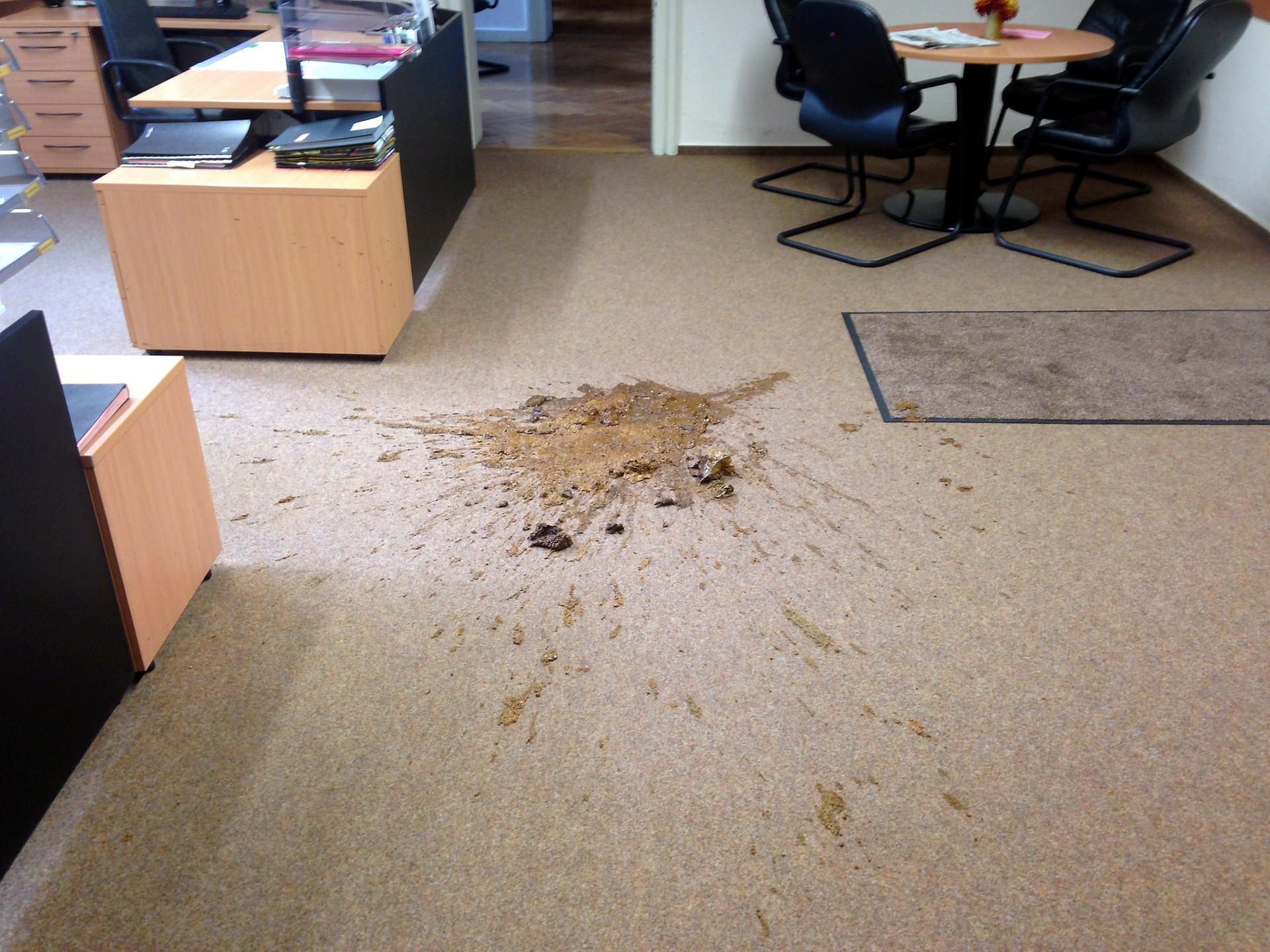 Ein Mann aus Würchwitz hat im Zeitzer Rathaus einen Eimer mit Fäkalien ausgeschüttet.