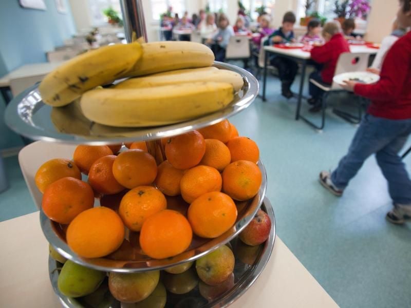 Was können Kinder in Kita und Schule über eine gesunde Ernährung lernen? Offenbar nicht viel. Denn laut einer Studie fehlt es Lehrern und Erziehern an entsprechenden Kenntnissen. Foto: Jens Büttner