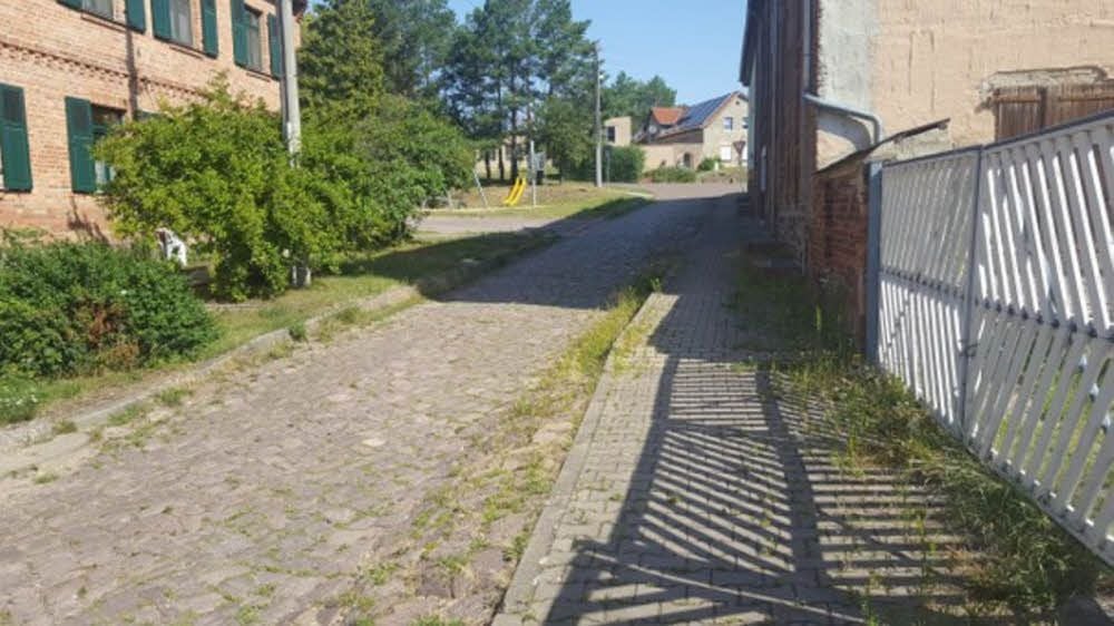 Auch auf der Straße breitet sich das Unkraut aus.