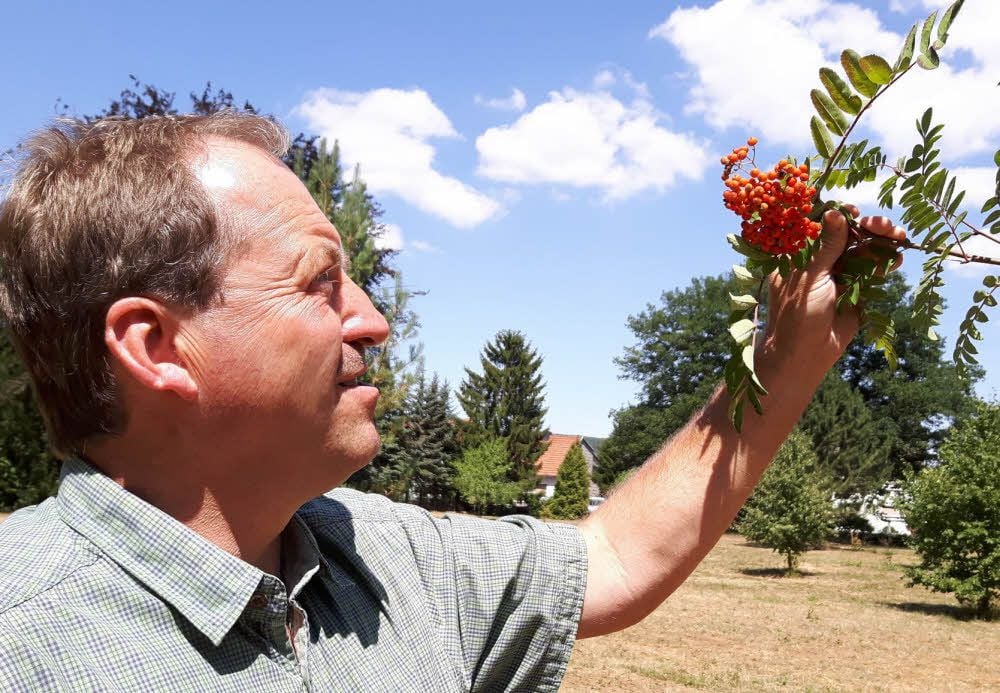 Armin Hoch vom Biosphärenreservat kontrolliert alle zwei Tage die Gewächse.