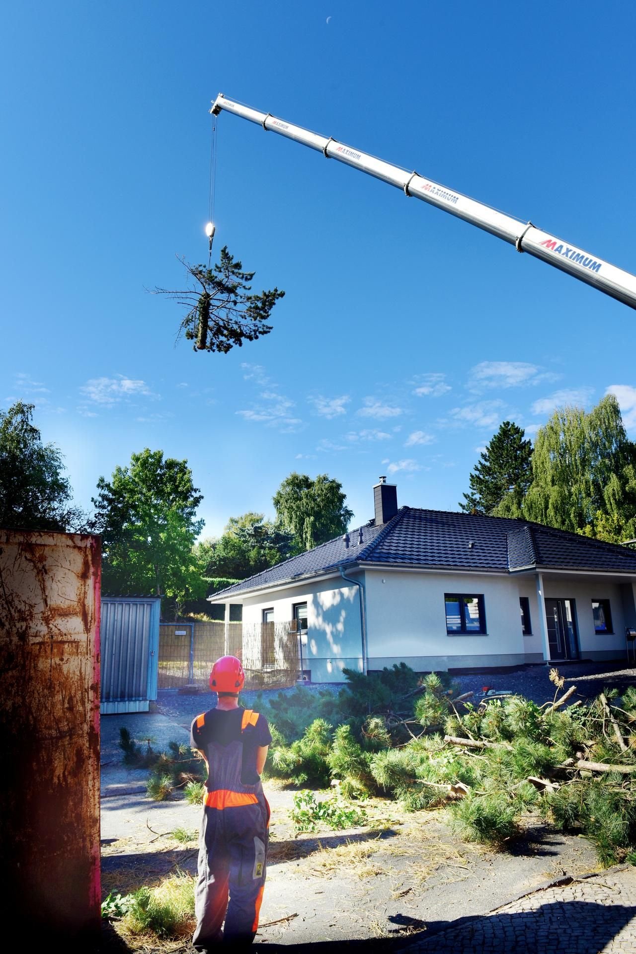 An einem 160-Tonnen-Kran hängt ein Teil der Kiefer.