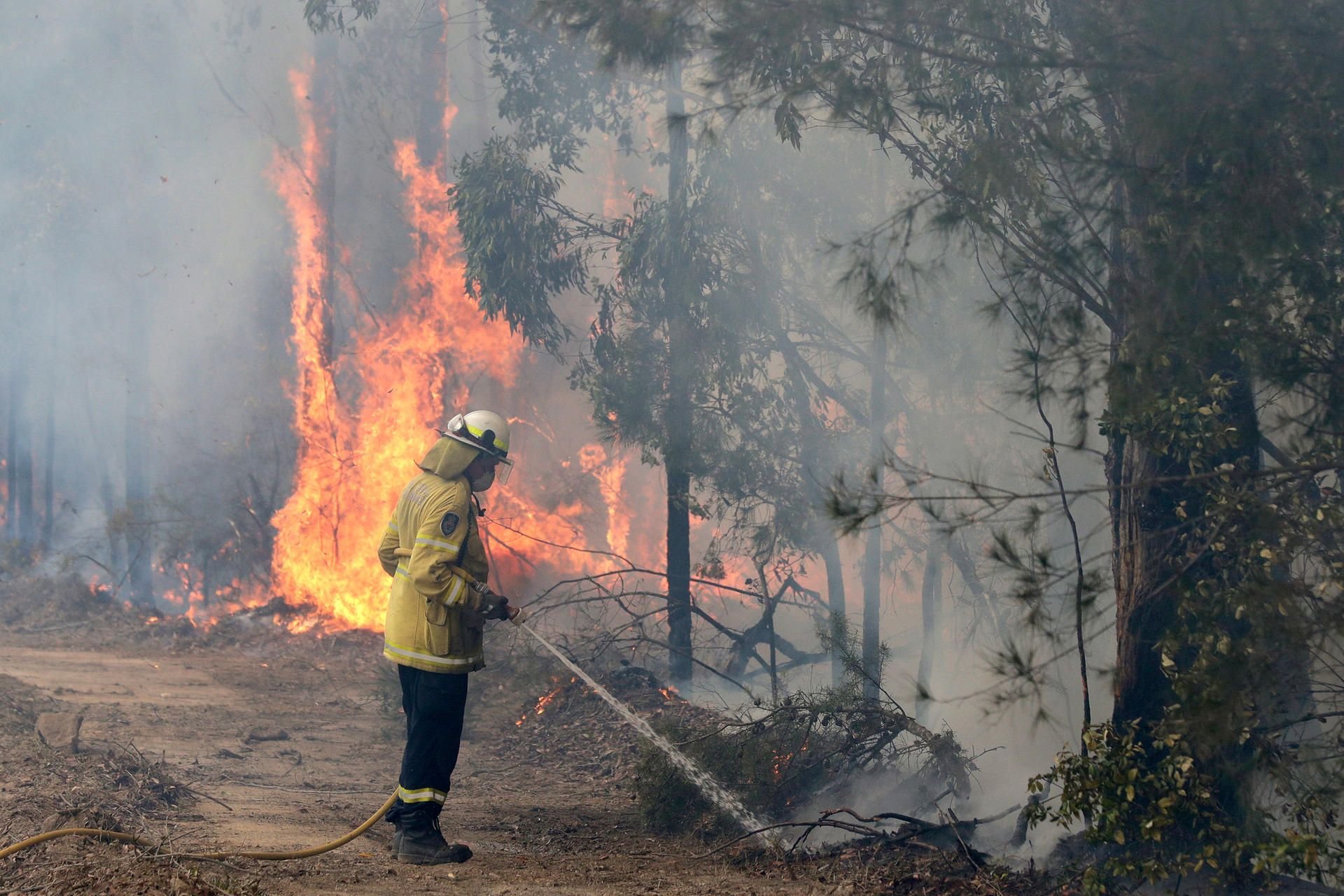 Ein Feuerwehrmann im Einsatz gegen die Buschbrände in Australien