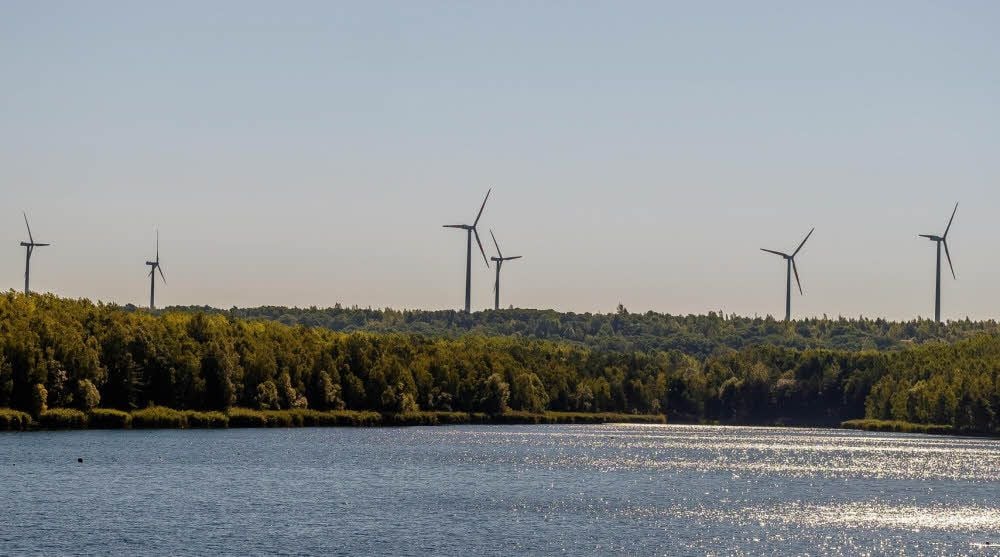 Die Zschornewitzer Hochkippe mit den Windrädern. Diese sind bald aus noch weiterer Entfernung sichtbar.