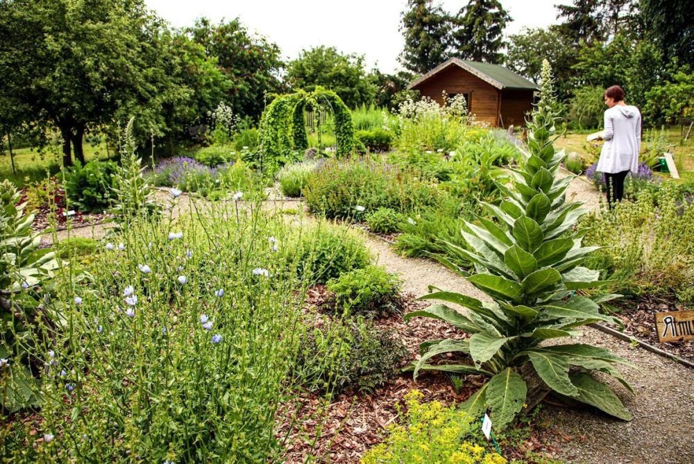 Garten in Ogkeln