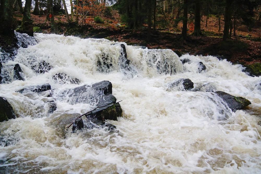 Die Selke bei Alexisbad führt Anfang Februar wegen der Schneeschmelze im Harz sehr viel Wasser.