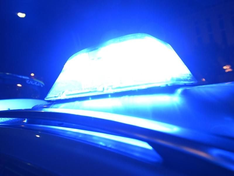 Das Blaulicht eines Polizeifahrzeuges. Foto: Patrick Seeger/Archiv