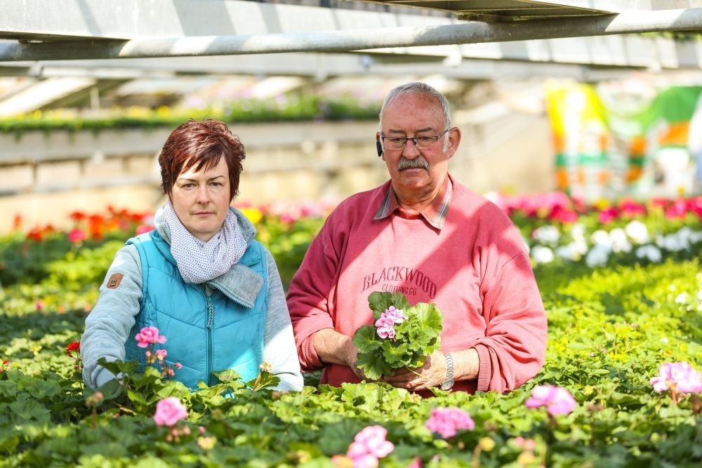 Bianca und Uwe Melchior aus der gleichnamigen Gärtnerei in Raßnitz mussten viele Pflanzen entsorgen.