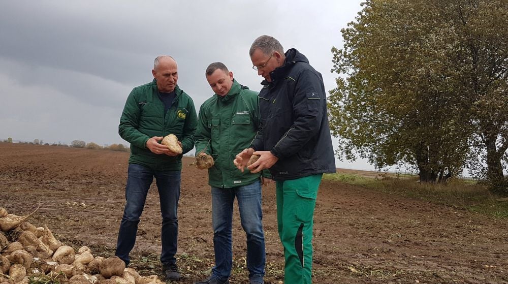 Die Landwirte Bodo Zier, Jens-Uwe Kraft und Olaf Heinrich (v.l.n.r.) begutachten die diesjährige Zuckerrübenernte.