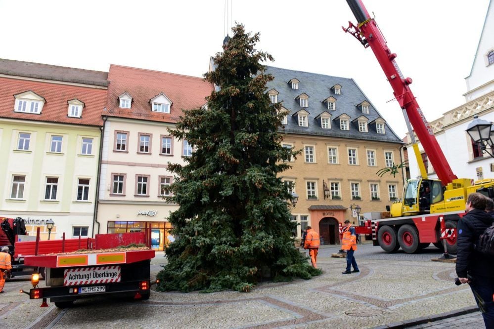 Weihnachtsmarkt Eisleben: Rund 13 Meter hoch ist die Fichte.