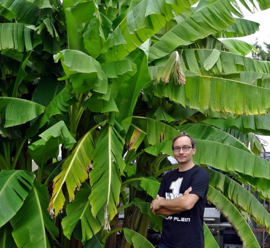 Der Vockeroder Michael Müller ist stolz auf seine Bananenpflanze.
