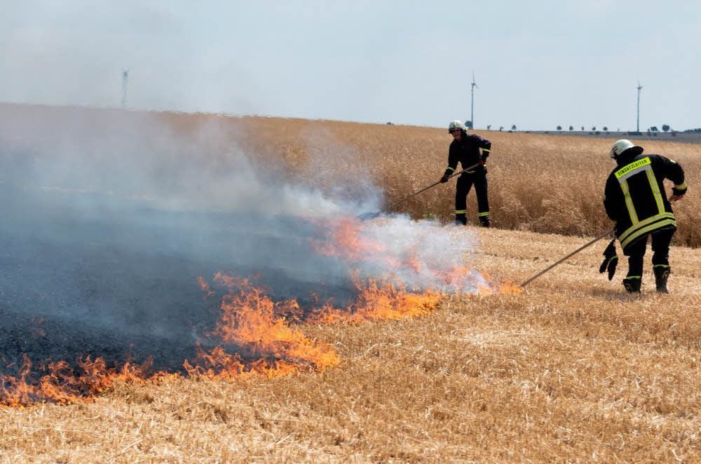 Die Feuerwehren waren mit 150 Leuten im Einsatz.