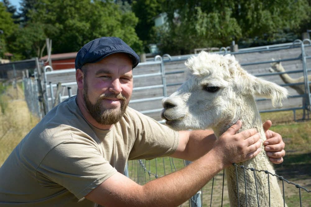 Marco Erben schätzt die liebenswerten Tiere. Auf seiner Weide stehen insgesamt 26 Alpakas.