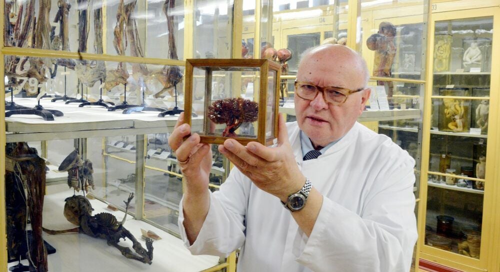 Rüdiger Schultka, Professor für Anatomie, erhielt für seine Verdienste um die Meckelschen Sammlungen das Bundesverdienstkreuz.