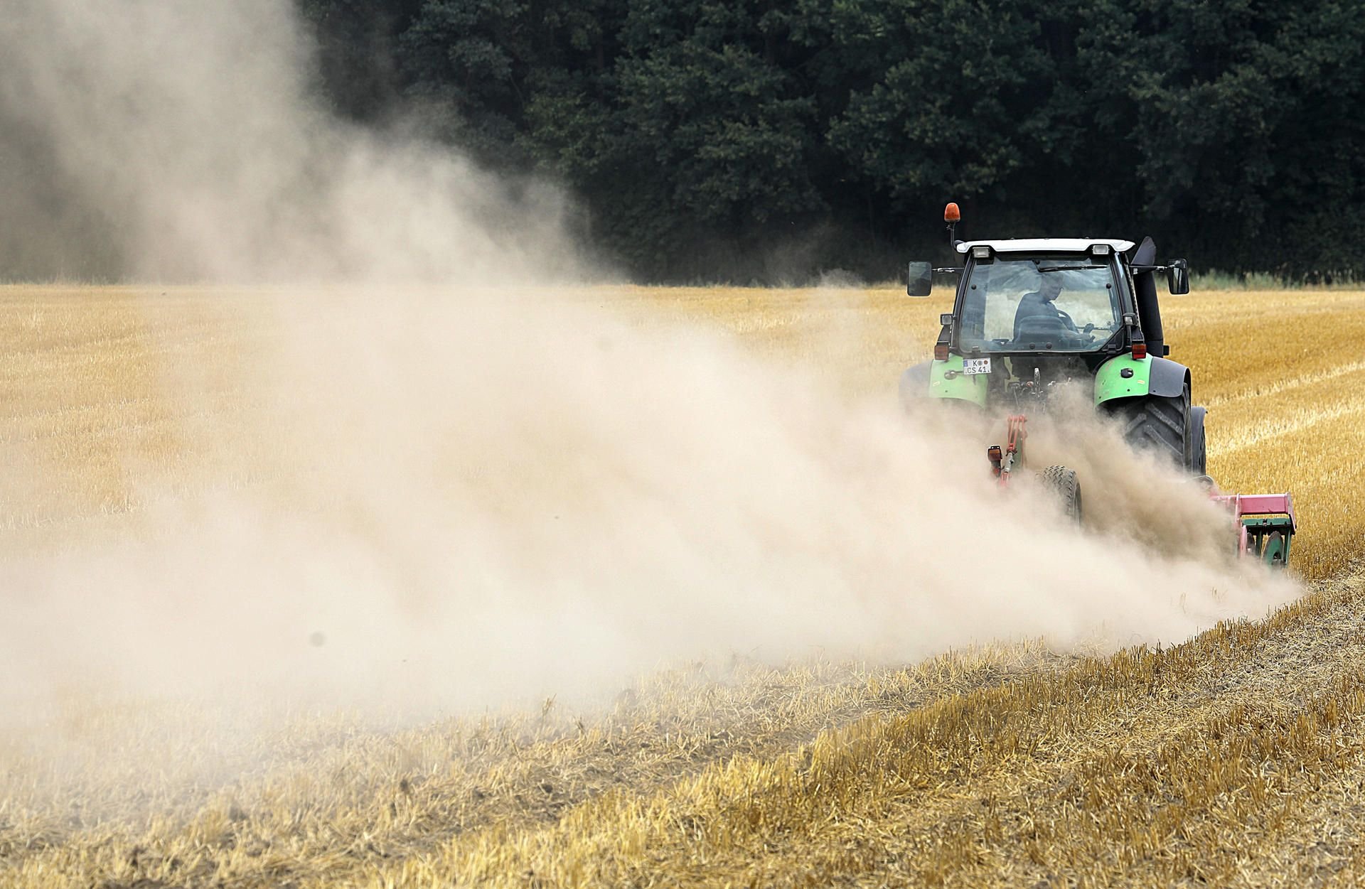 Aufgrund der Dürre benötigen die Landwirte staatliche Hilfe.