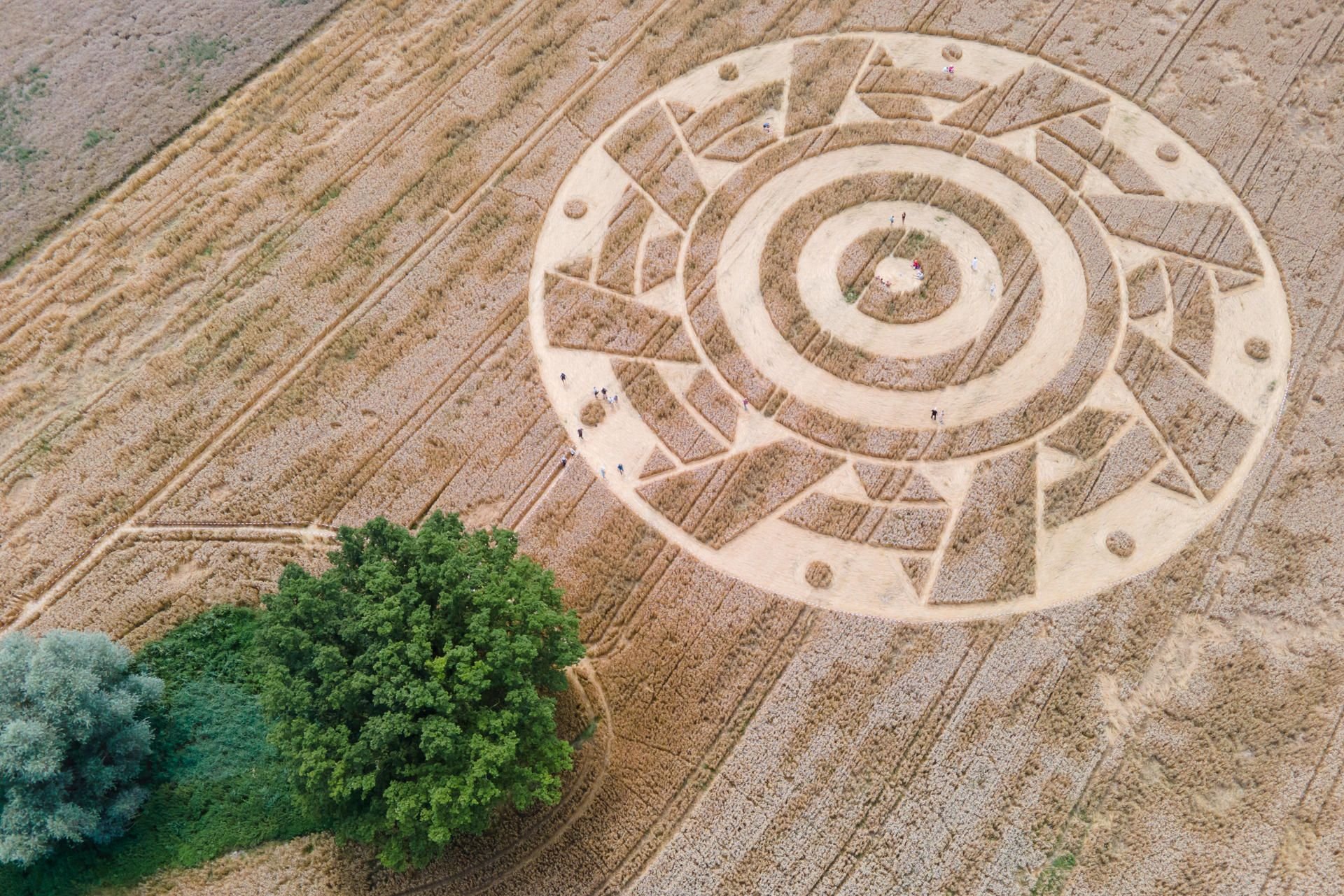 Bayern, Pähl: Interessierte durchstreifen einen Kornkreis in einem Feld.