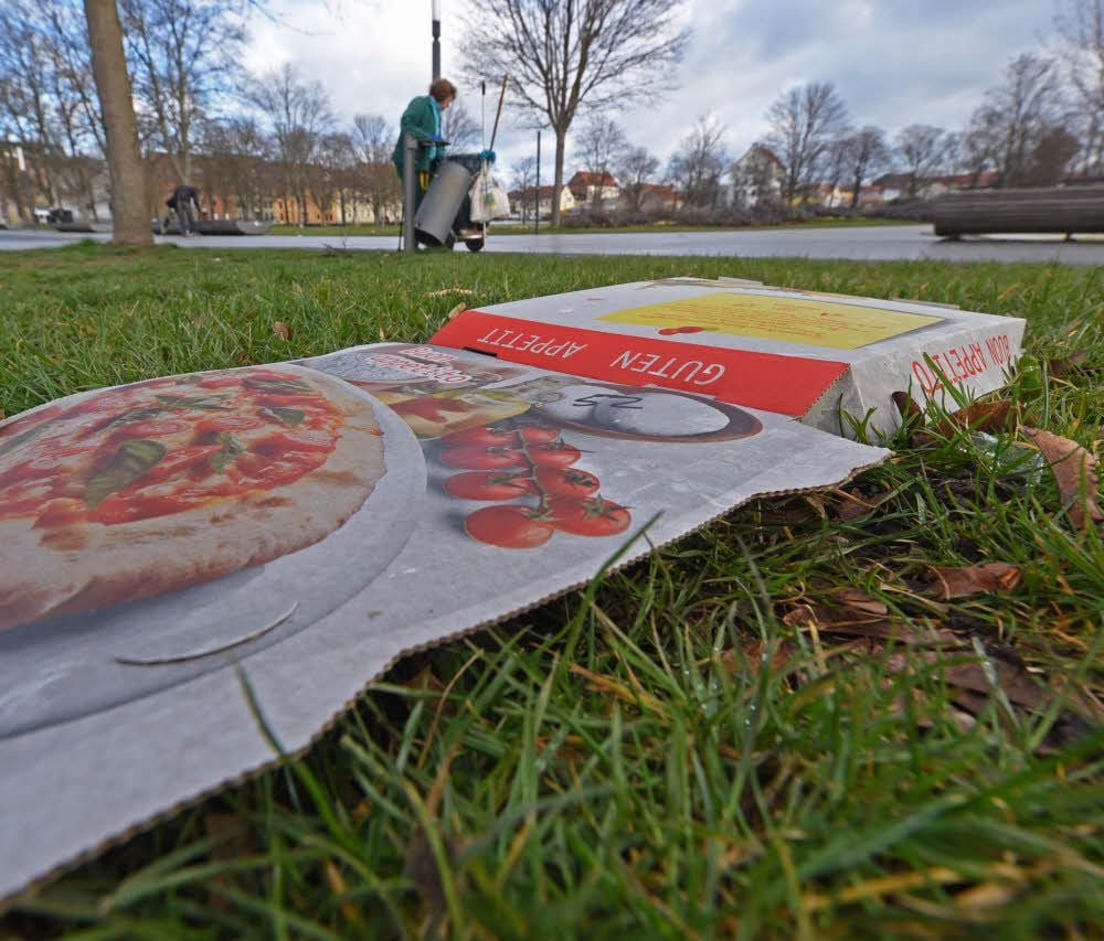 Überbleibsel vom Wochenende: Ein Pizzakarton liegt auf einer Wiese der Herrenbreite in Aschersleben.