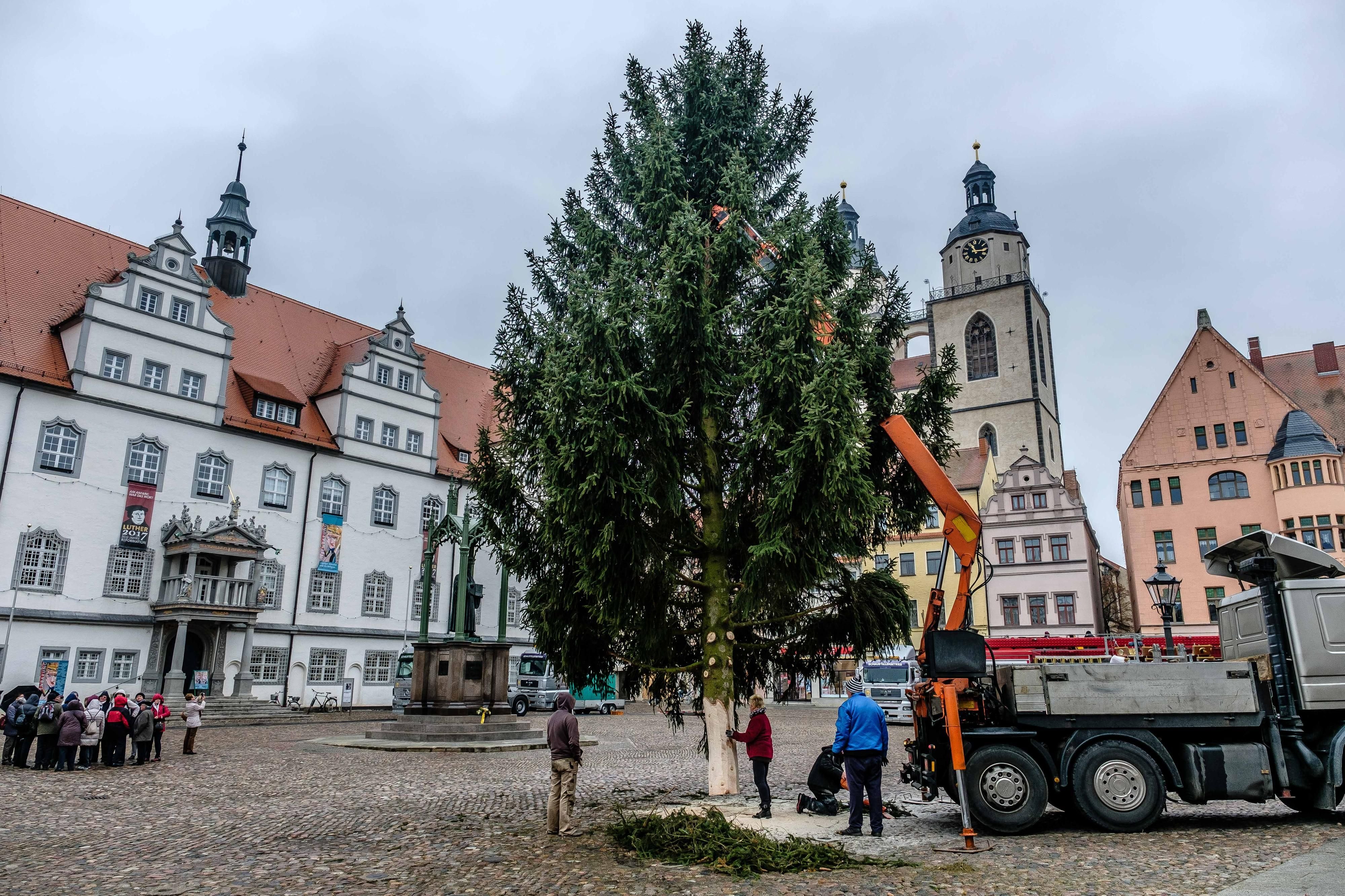 Steht doch. Der Stamm vom Weihnachtsbaum musste für die Hülse auf dem Marktplatz in Wittenberg erst noch verkleinert werden.