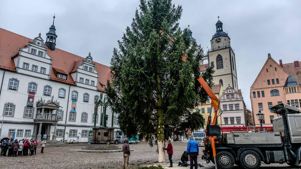 Weihnachtsmarkt Weihnachtsmarkt Wittenberg Weihnachtsbaum wird auf Marktplatz aufgestellt