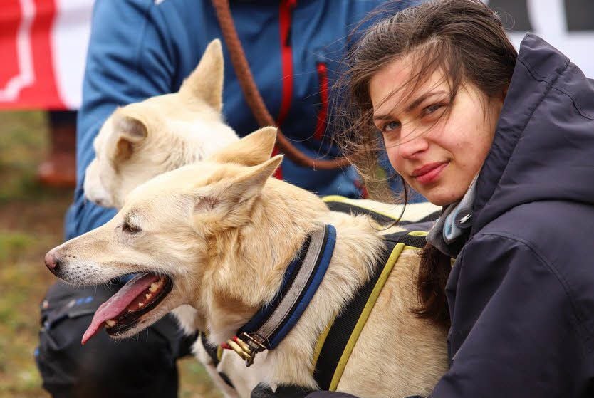 Vor dem Start werden die Schlittenhunde gut betreut und auf das bevorstehende Rennen vorbereitet.