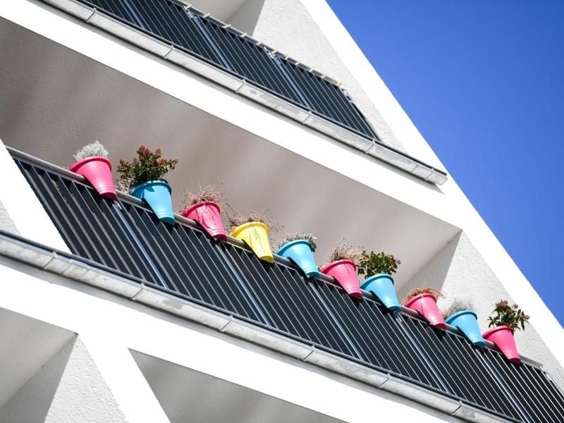Kommt eine Bepflanzung aufgrund ihres Umfangs einer baulichen Veränderung gleich, kann der Vermieter rechtliche Schritte einleiten. Foto: Arne Dedert