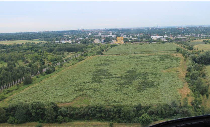 Brachland entlang der Straße nach Trotha: Die EVH will hier einen Solarpark errichten.