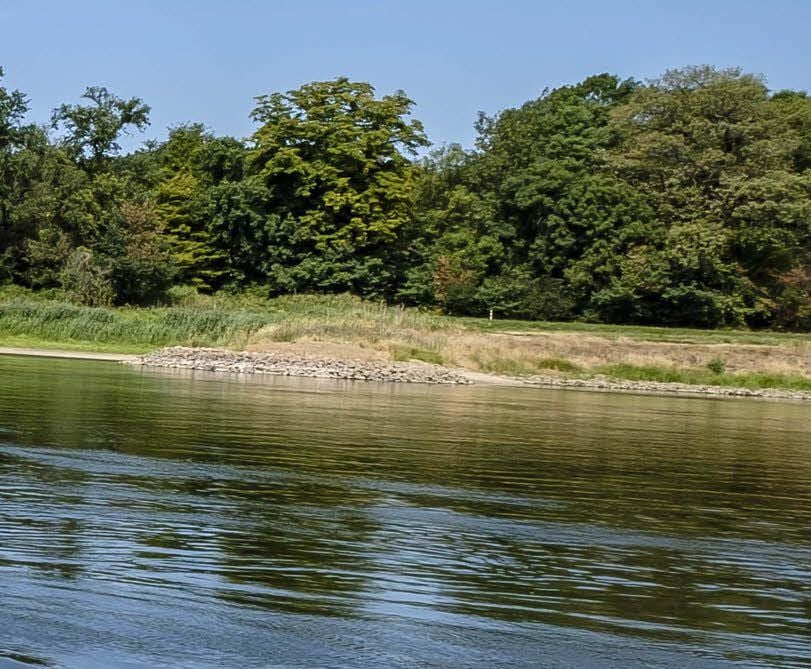 Natura 2000 hat das Elbufer im Blick.