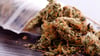 Cannabis in einem kleinen Beutel